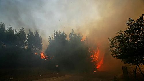 Бедствено положение в Белоградчик заради пожарите