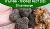 Угърчин -Трюфел фест 2025 ще бъде на 20 септември!