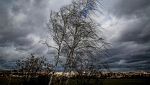 Опасен вятър до 80 км/ч ни връхлита в следващите дни