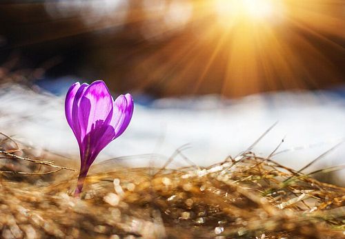 Хладно сутринта, но с температури до 16° през деня