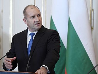 Радев за процедурата