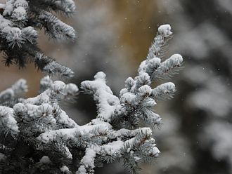 Времето до уикенда: Ниски температури, ще вали дъжд – по високите места и сняг