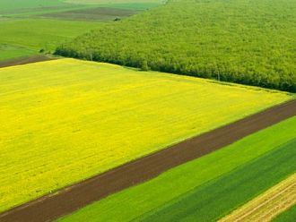Проект: Земеделските стопани, получили субсидии, ще ползват данъчно облекчение до 100 000 лв.