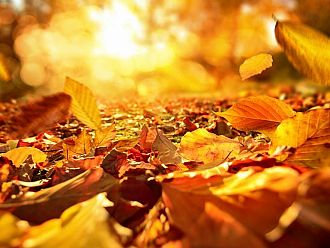 Ще се радваме ли на слънчево време в първия ден от новата седмица