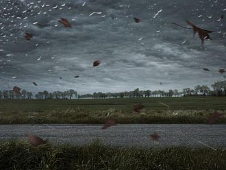 Седмицата започва с предупреждения за силни ветрове и интензивни валежи от дъжд