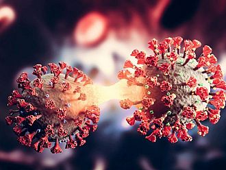 COVID-19 у нас: 13 нови случаи за последното денонощие