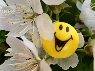 1 април - отбелязваме Международния ден на шегата