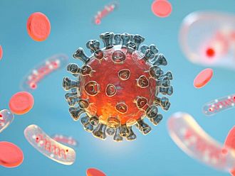 Могат ли смъртоносните вируси Шандипура и Нипа от Индия да стигнат до България