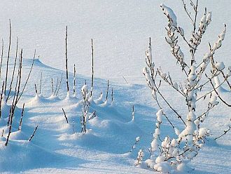 Ще има ли сняг за Коледа и Нова година?