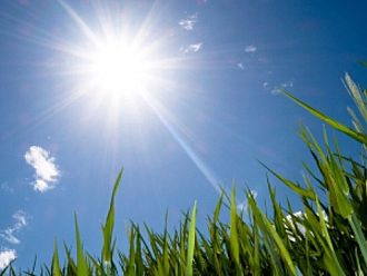 Слънчев понеделник с температури до 17°C