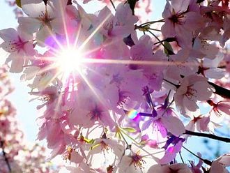 Слънце и температури до 17-18° днес