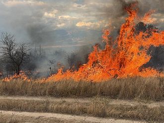 Подозират умишлен палеж за пожара край Пловдив