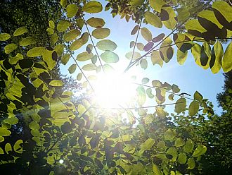 Британците страдат от необичайно горещо време