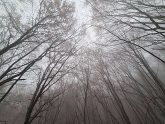 Интензивни валежи в Централна и Източна България