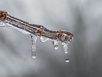 Южните части на САЩ в ледена хватка