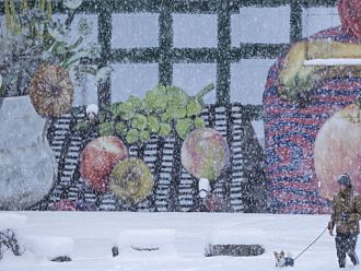 Зимна буря връхлетя Съединените щати